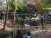La rivière aux crocodiles